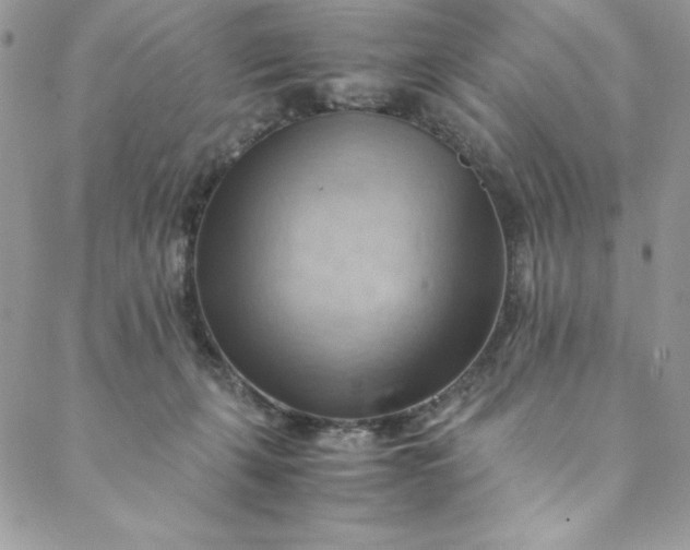 X0000088600271200706081400