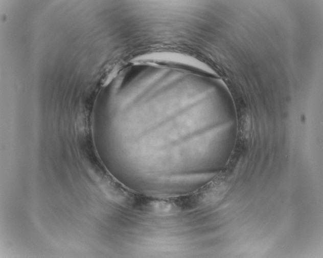 X0000088600272200706081400