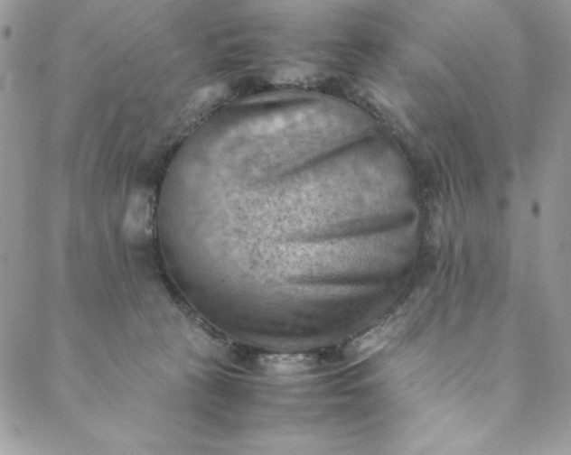 X0000088600273200706081400