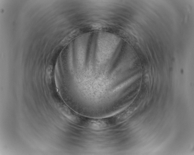 X0000088600275200706081400