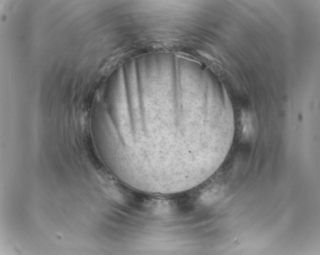 X0000088600276200706081400