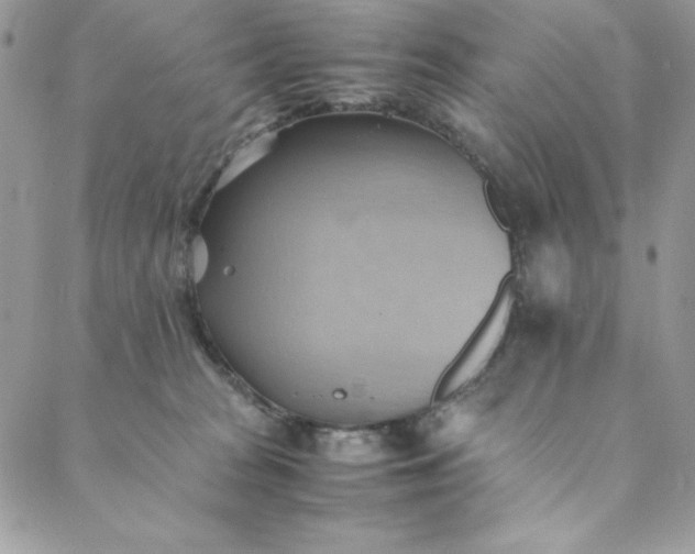 X0000088600277200706081400