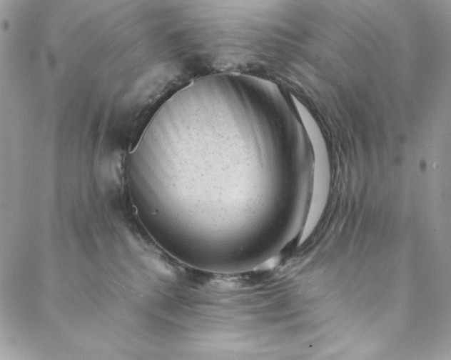 X0000088600280200706081400