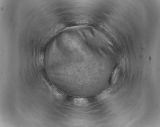 X0000088600281200706081400