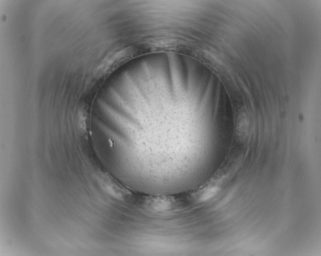 X0000088600282200706081400