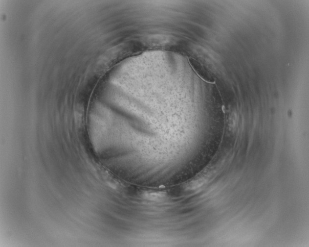 X0000088600283200706081400