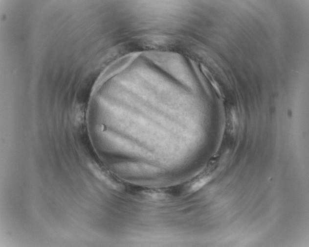 X0000088600284200706081400