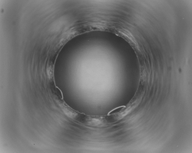 X0000088600285200706081400