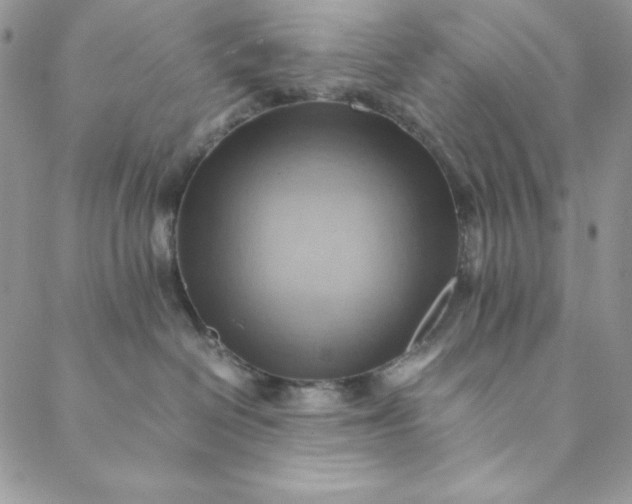 X0000088600286200706081400