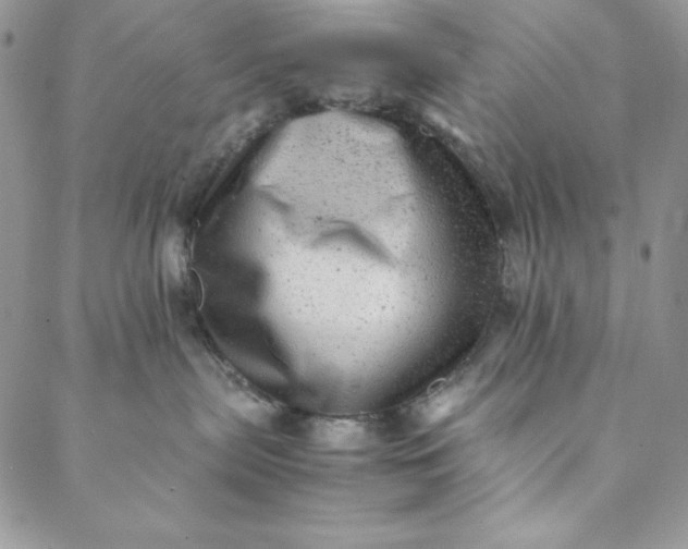 X0000088600287200706081400