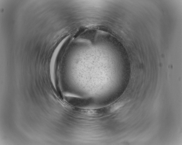 X0000088600288200706081400