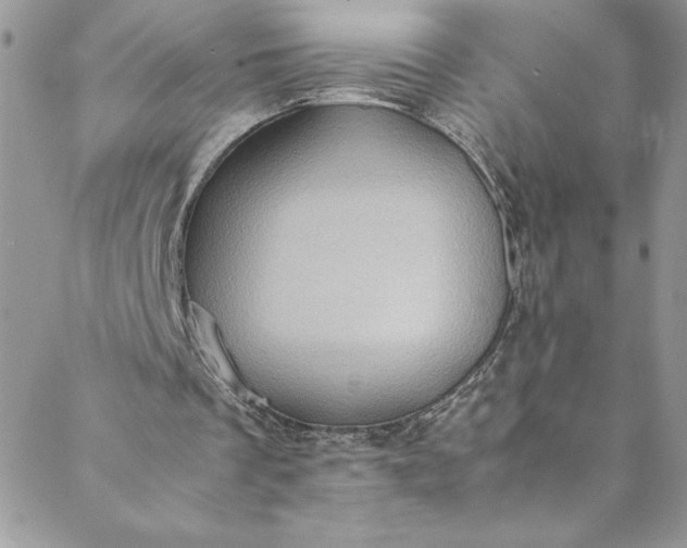 X0000088600289200706081400