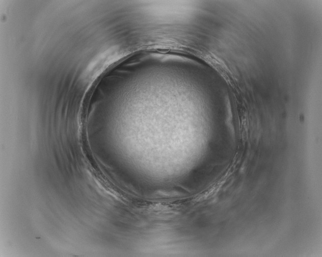 X0000088600290200706081400