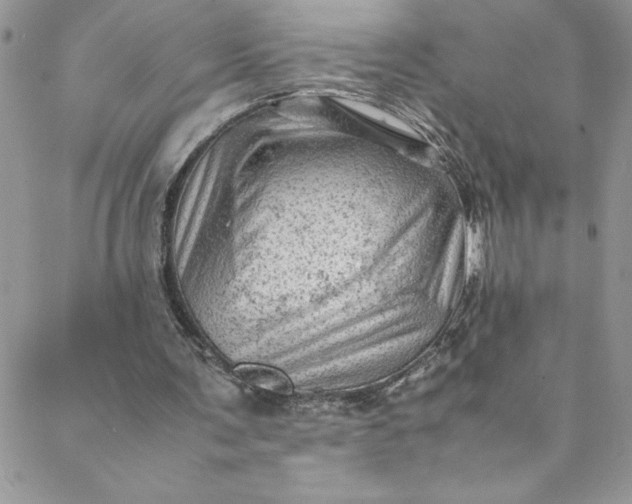 X0000088600291200706081400