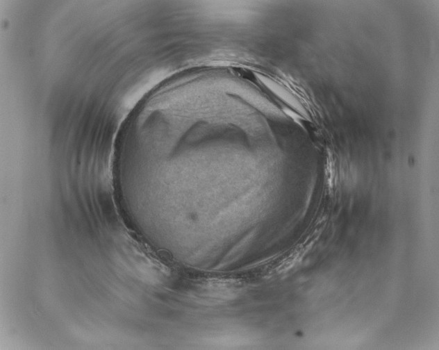 X0000088600292200706081400