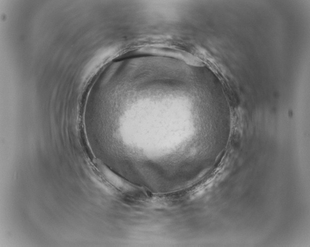 X0000088600293200706081400