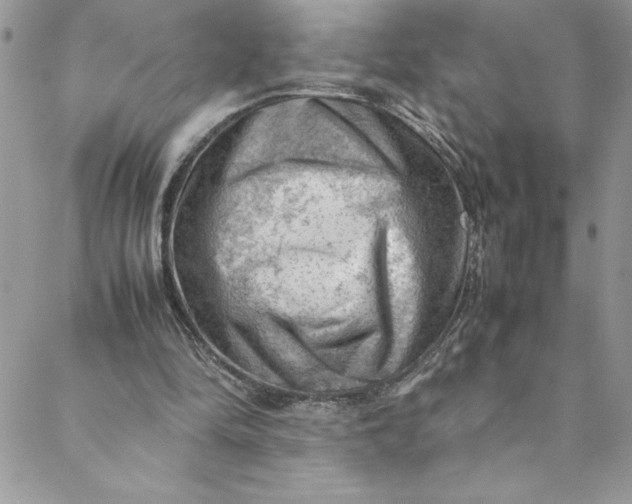 X0000088600294200706081400