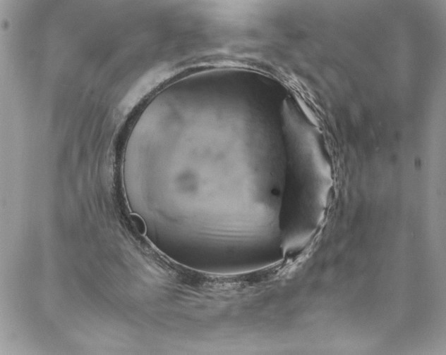 X0000088600295200706081400