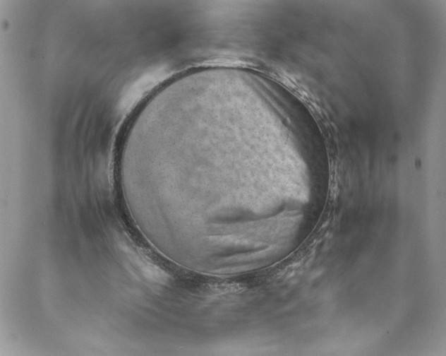 X0000088600296200706081359