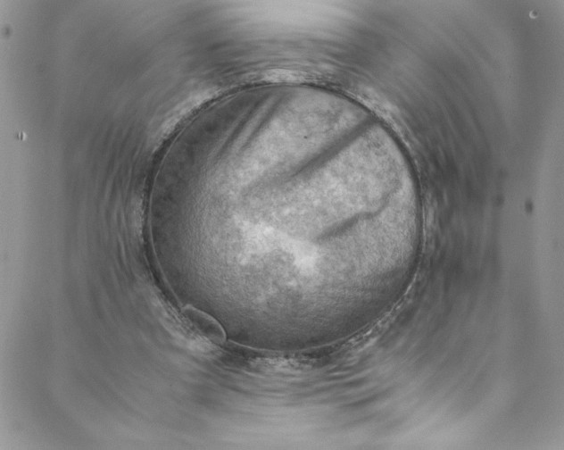 X0000088600297200706081359