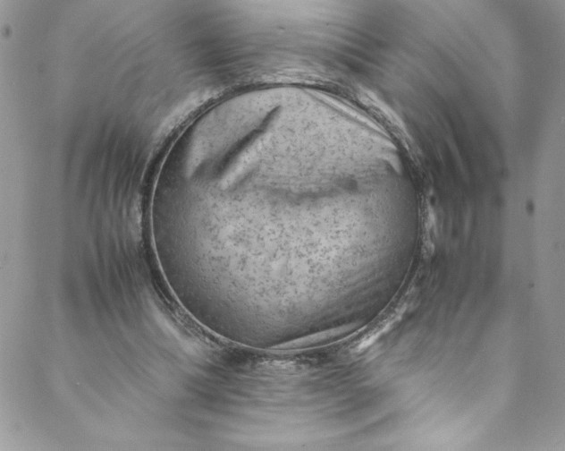 X0000088600298200706081359