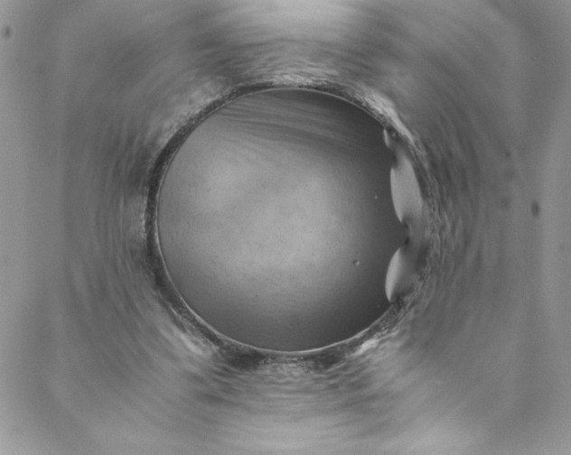 X0000088600299200706081359