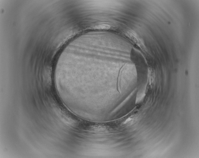 X0000088600300200706081359