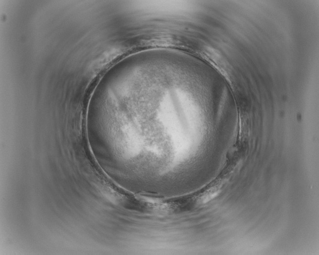 X0000088600301200706081359