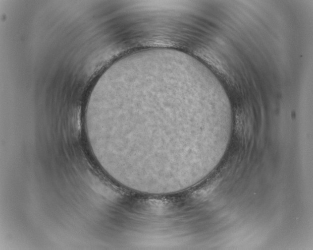 X0000088600302200706081359