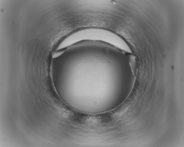 X0000088600303200706081359