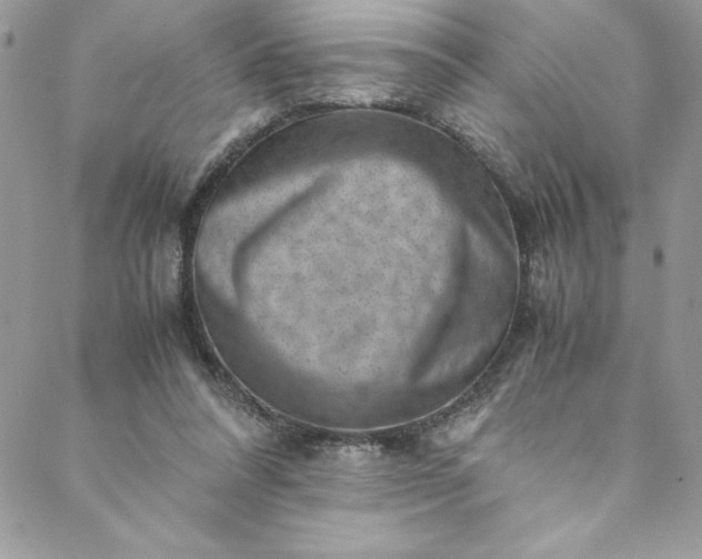 X0000088600304200706081359