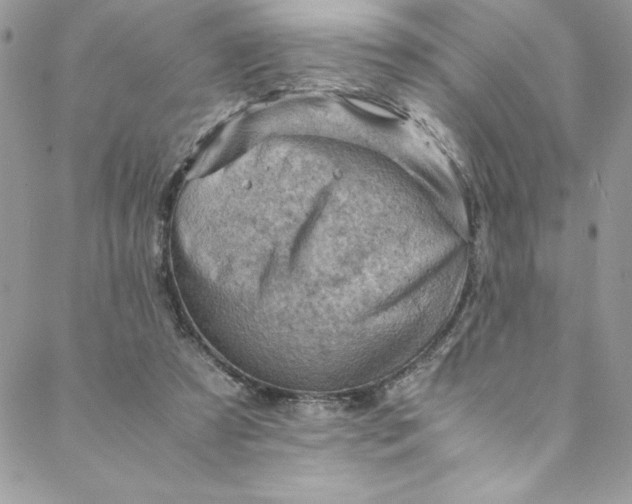 X0000088600305200706081359