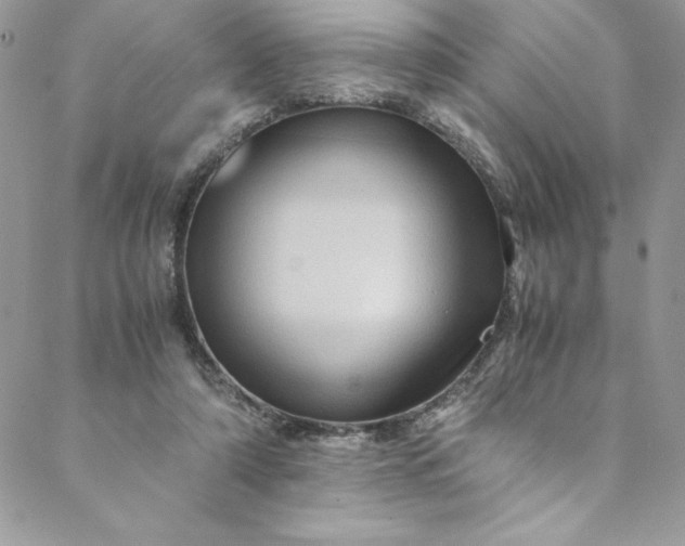 X0000088600306200706081359