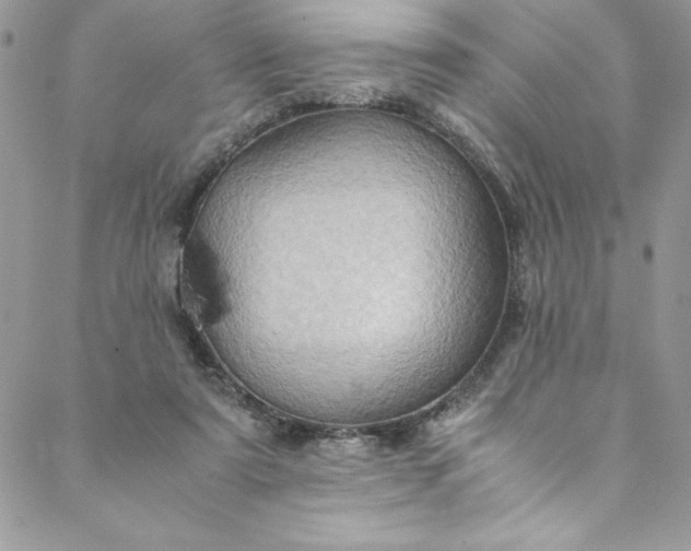 X0000088600307200706081359