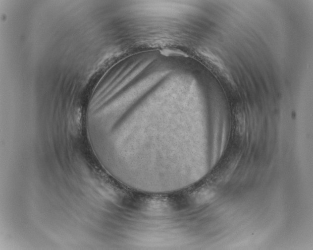 X0000088600308200706081359