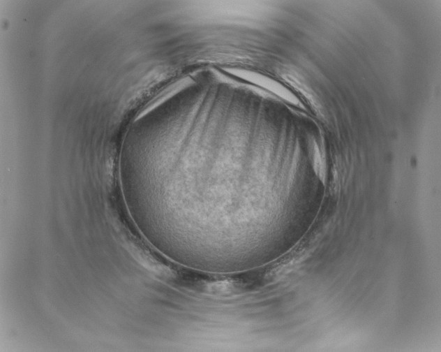 X0000088600309200706081359