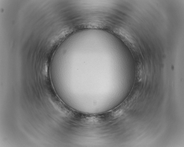 X0000088600310200706081359