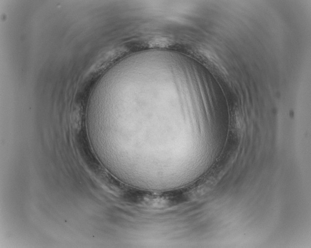 X0000088600311200706081359