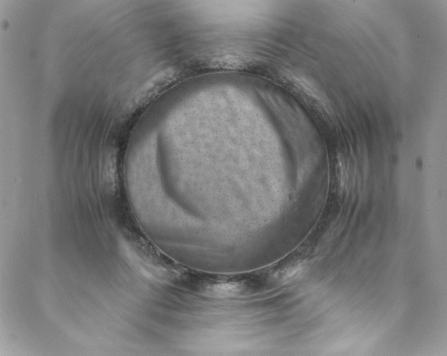 X0000088600312200706081359