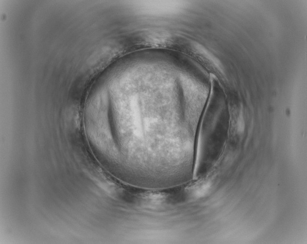 X0000088600313200706081359