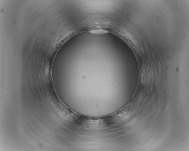 X0000088600314200706081359