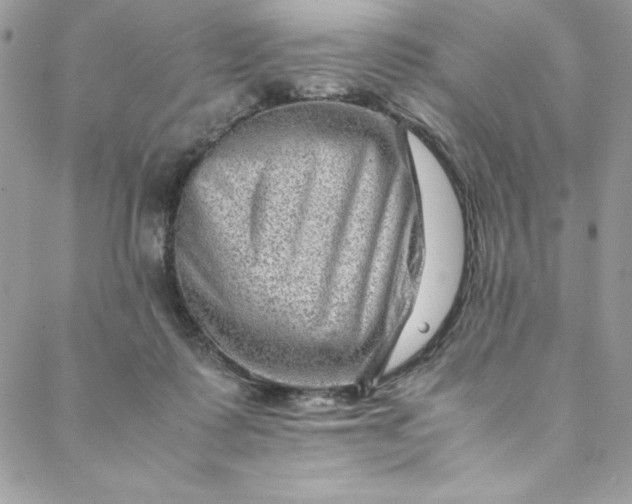 X0000088600315200706081359