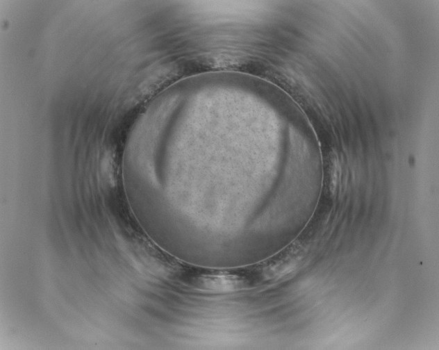 X0000088600316200706081359