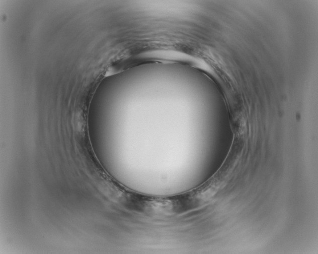 X0000088600317200706081359