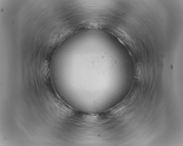 X0000088600318200706081359