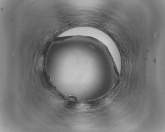 X0000088600319200706081359