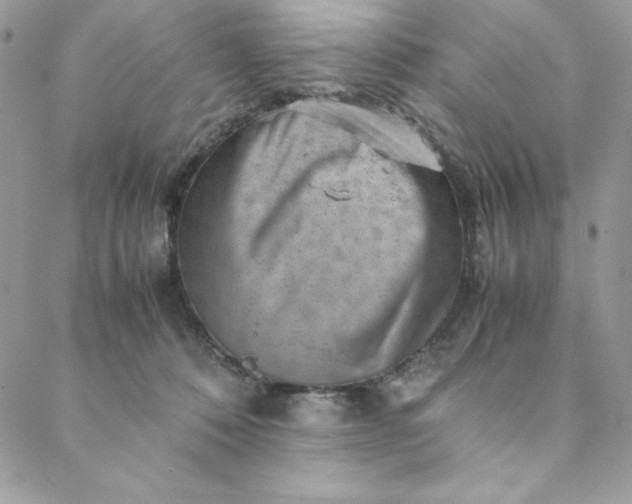 X0000088600320200706081359