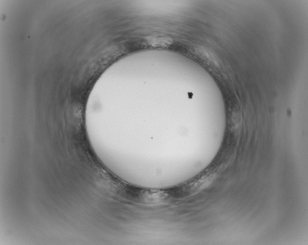 X0000088600321200706081359