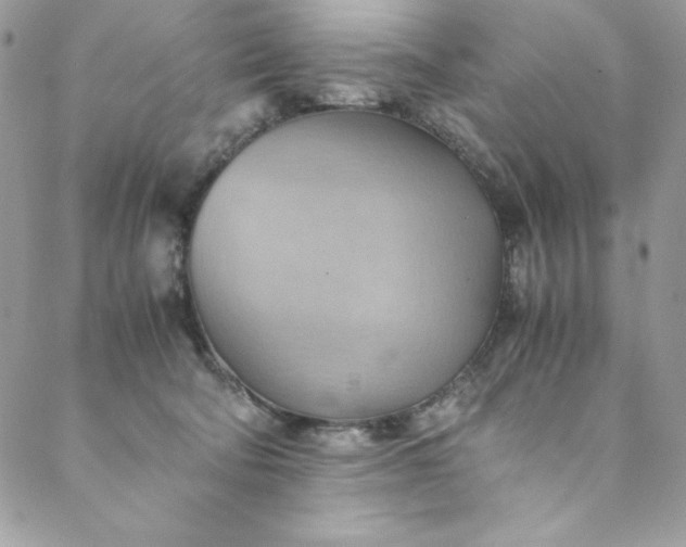 X0000088600322200706081359