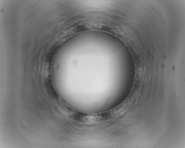 X0000088600323200706081359